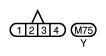 G10873860