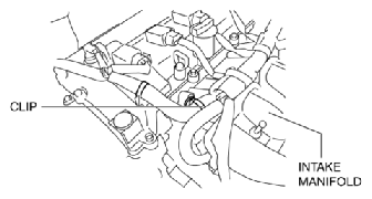 G10909892