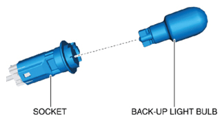 G10914924