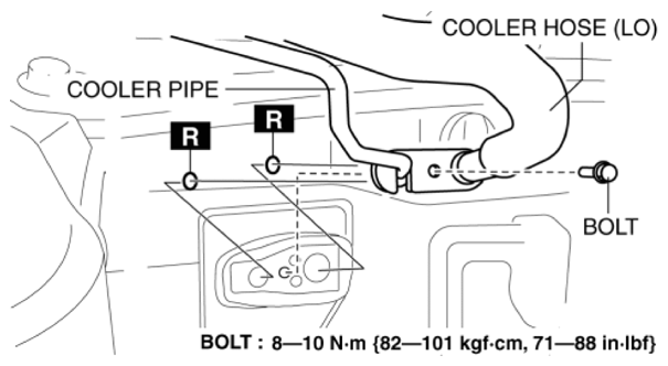 G10937519