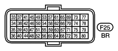 G10941326