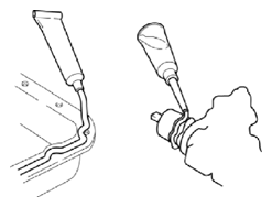G10951161