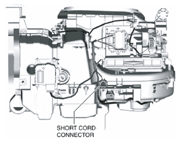 G10953276
