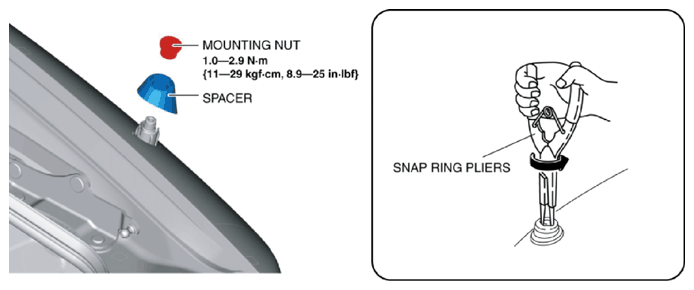 G10954950