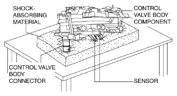 G10961159