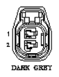 G11013504