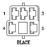 G11013551