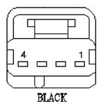 G11013589