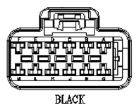 G11013648