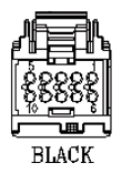G11013649