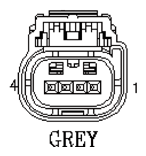 G11013663