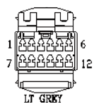 G11013666