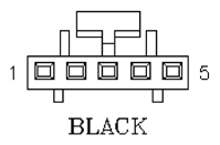 G11013981