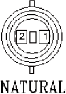 G11036091
