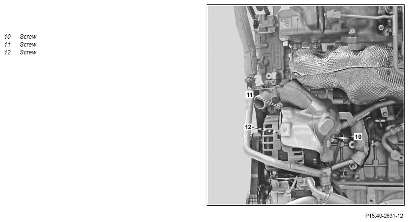 G11065619