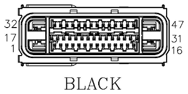 G11069970
