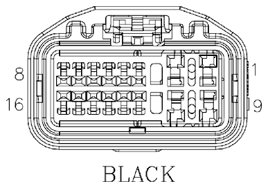 G11070074