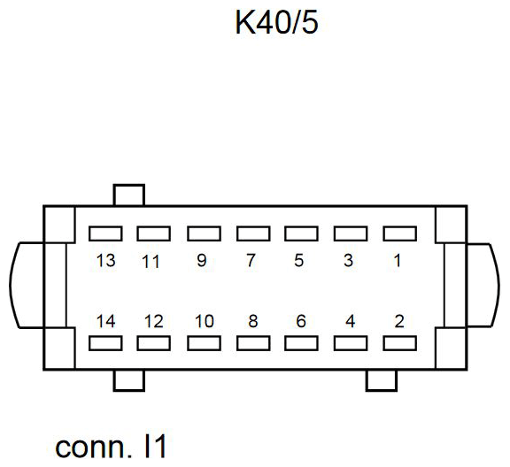 G11073081