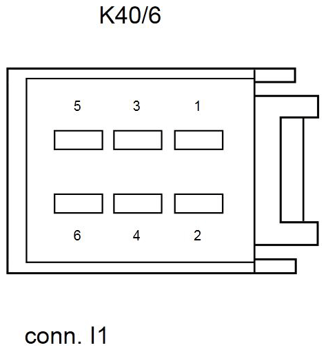 G11074239
