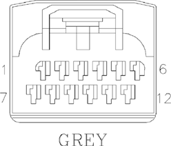 G11075681