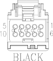 G11075919