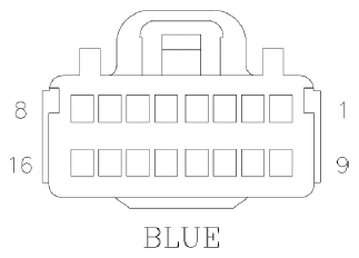 G11077531