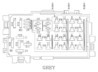 G11077725