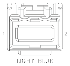 G11077791