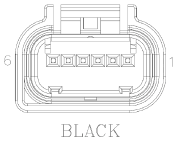 G11077823