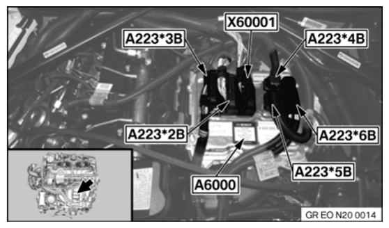 G11087698