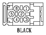G11130421