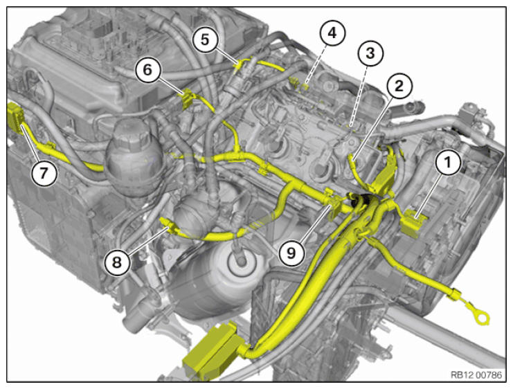G11145015