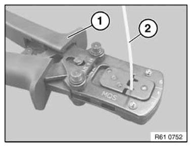 G11153049