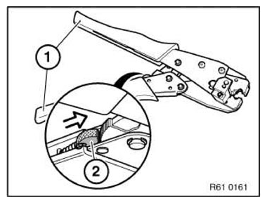 G11153062