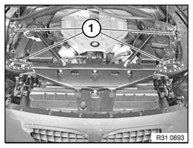 G11165269