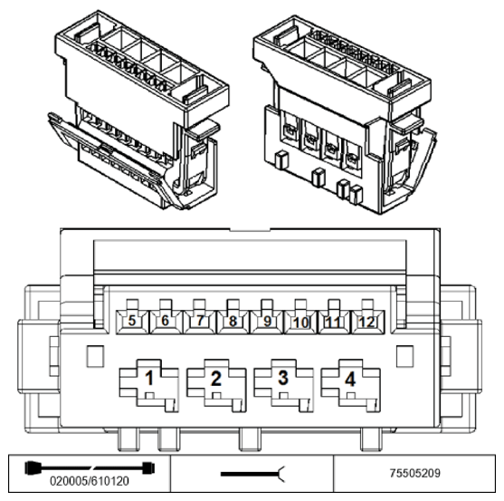 G11195998