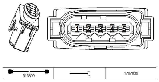G11196008