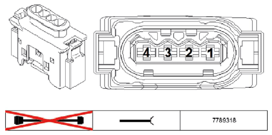 G11196031
