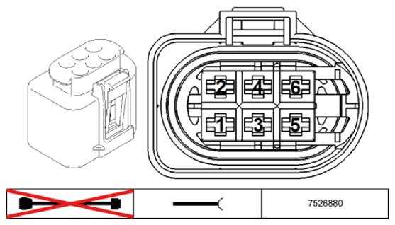G11196066
