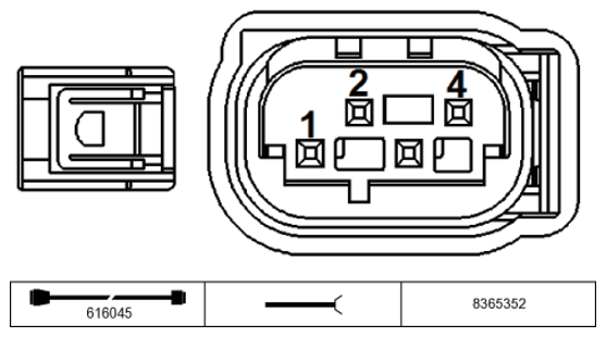 G11229053