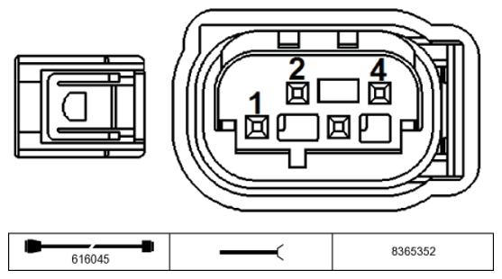 G11229351