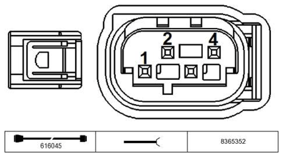 G11229648