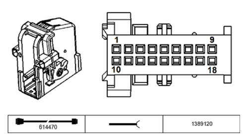 G11230981