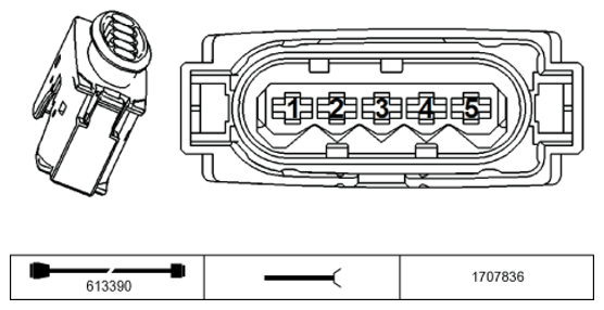G11234625