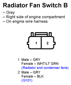G11247731
