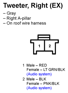 G11249892