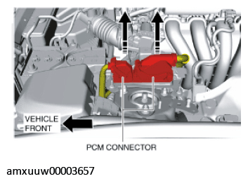 G11274219
