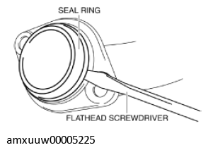G11274356