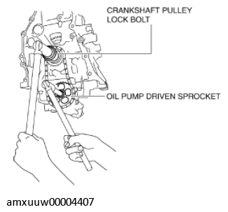 G11275898