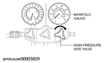 G11276386